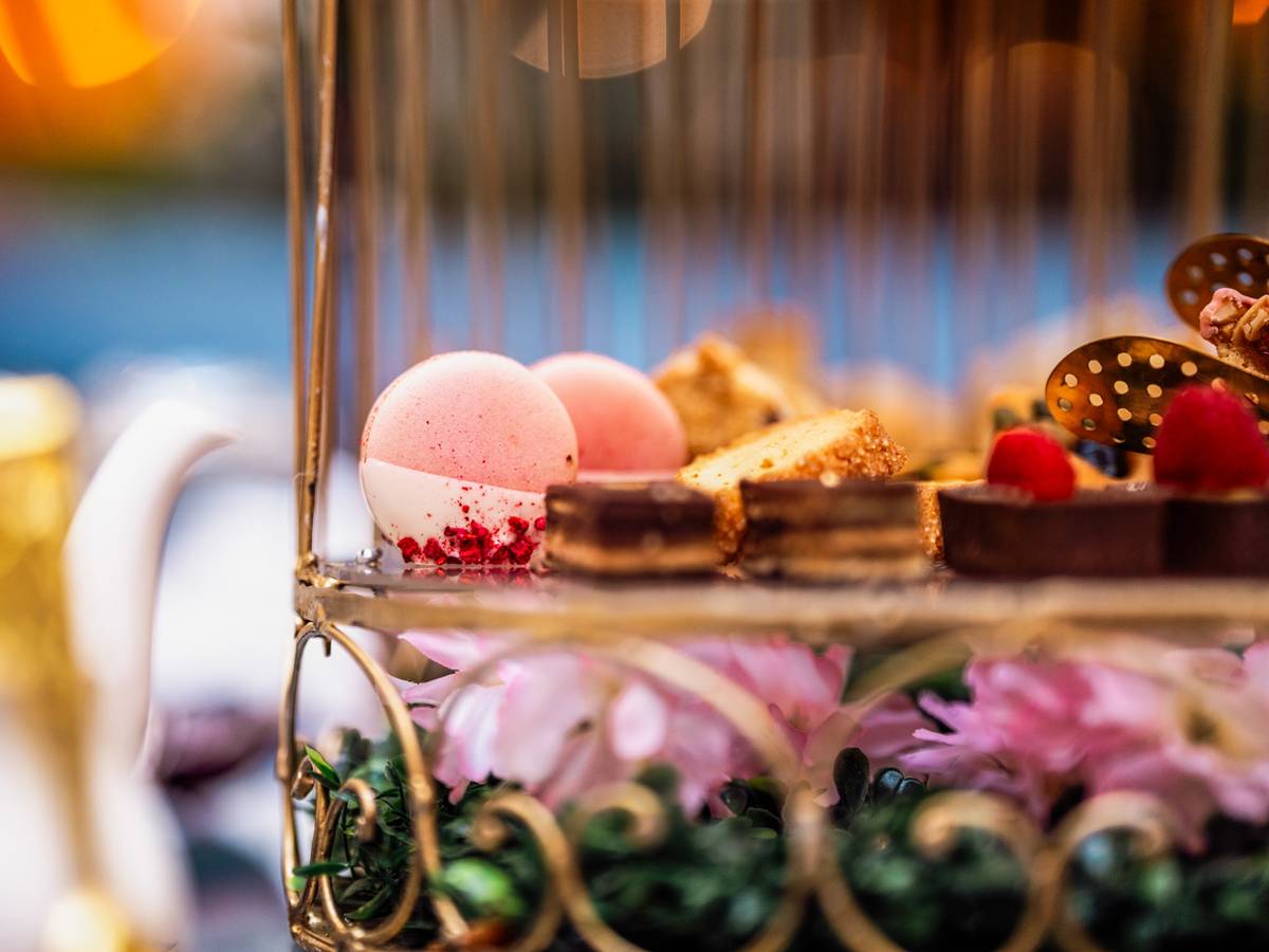 primavera em washington