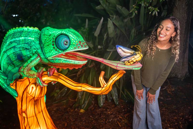 Parque Aquatica Orlando